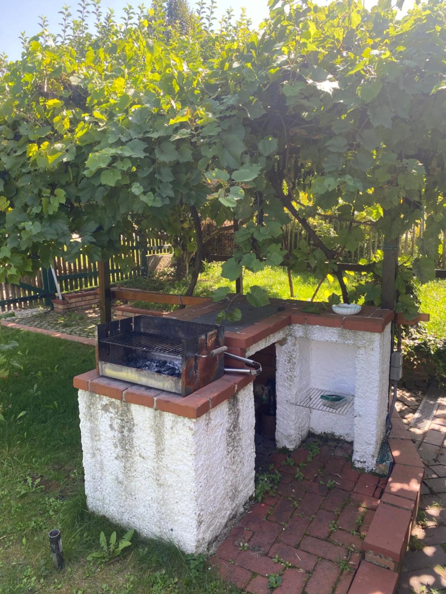 Landhaus Nitsch Appartement - Gaestehaus Nitsch Appartement Prinzendorf an Der Zaya Dış mekan fotoğraf